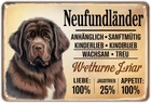 Newfoundland Dog Breed Tin Metal Signs Home Décor Vintage Newfoundland Loyal Wat