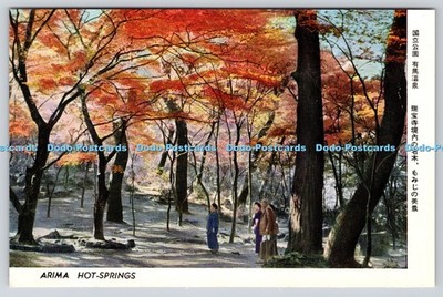 R817533 Arima Hot Springs C P