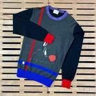 Men’s Wool/Acrylic Sweater Iceberg x Disney Size M-L