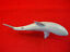 thumbnail 5  - Discovery Shark Week -Return to the Isle of Jaws from Animal Planet SHARK Toy 7&#034;