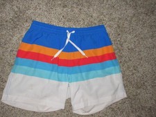 CHUBBIES 5.5" INSEAM SWIM TRUNKS BOARD SHORTS LINED MEN LARGE MULTI COLOR STRIPE