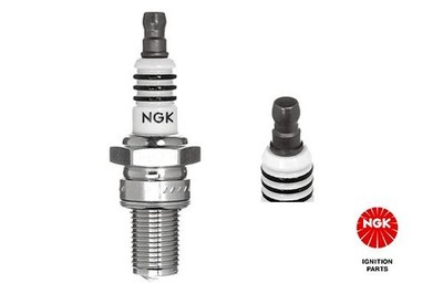 NEU - NGK 3006 Zündkerze