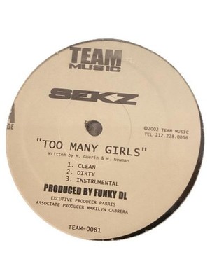 SFKZ Too Many Girls 12'' Vinyl Single Hip-Hop Funky DL Team Music 2002