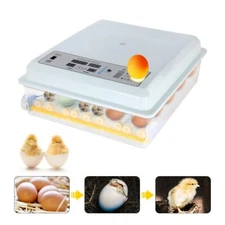 64 Eggs Automatic Hatching Machine Farm Hatchery Hatchery Brooder Equipment