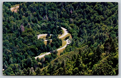 Tennessee Great Smoky Mts. National park US 441 Loop Over Highway Postcard, K29