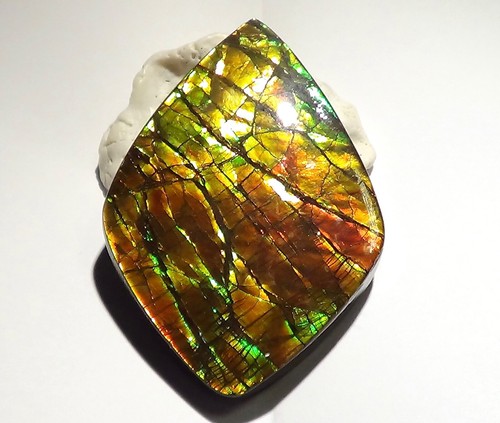 340 Carat.!! I Sammler Ammolite /Drachenschuppe Rot Grün-Golden-Orange + VIDEO - Bild 5 von 7