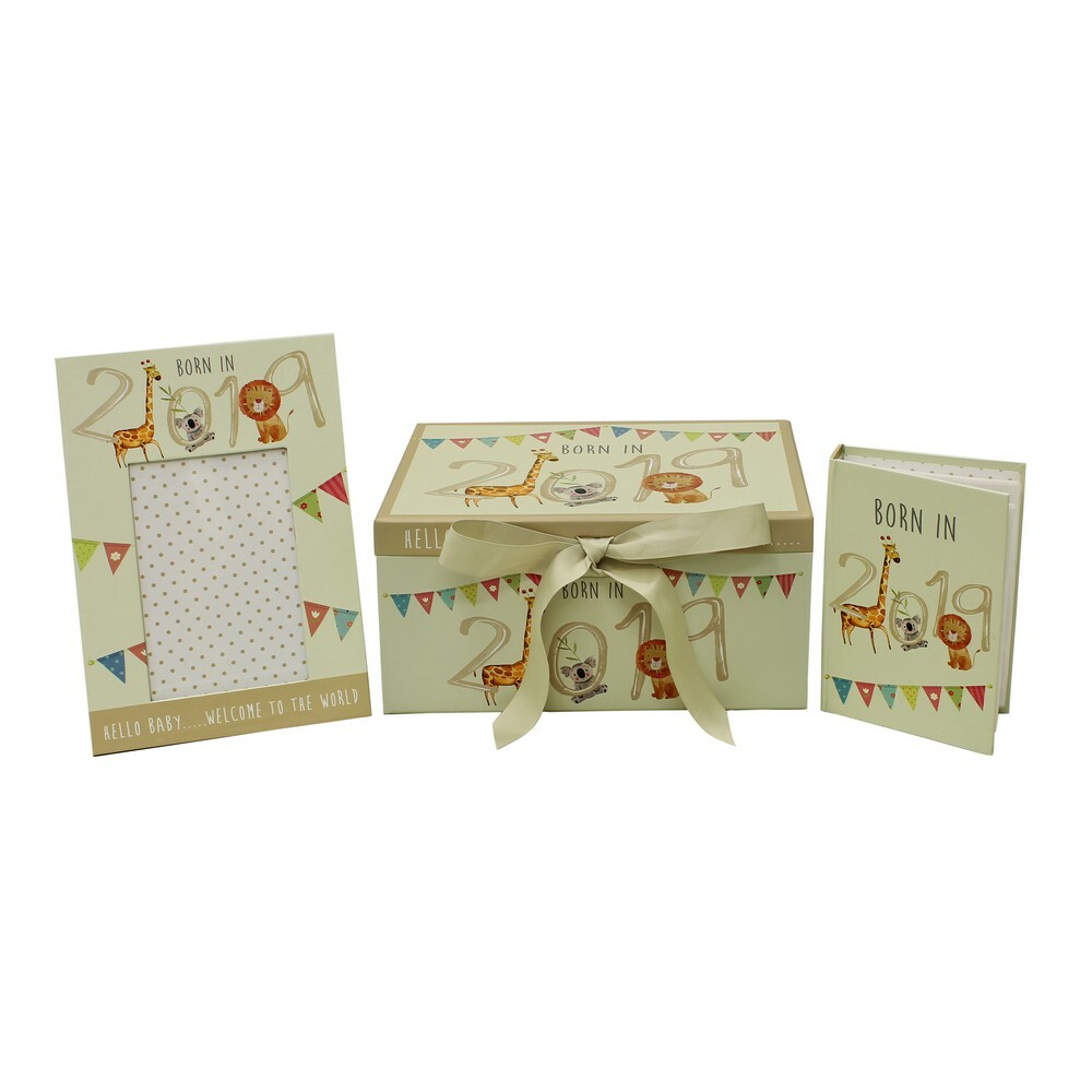 born in 2017 keepsake box