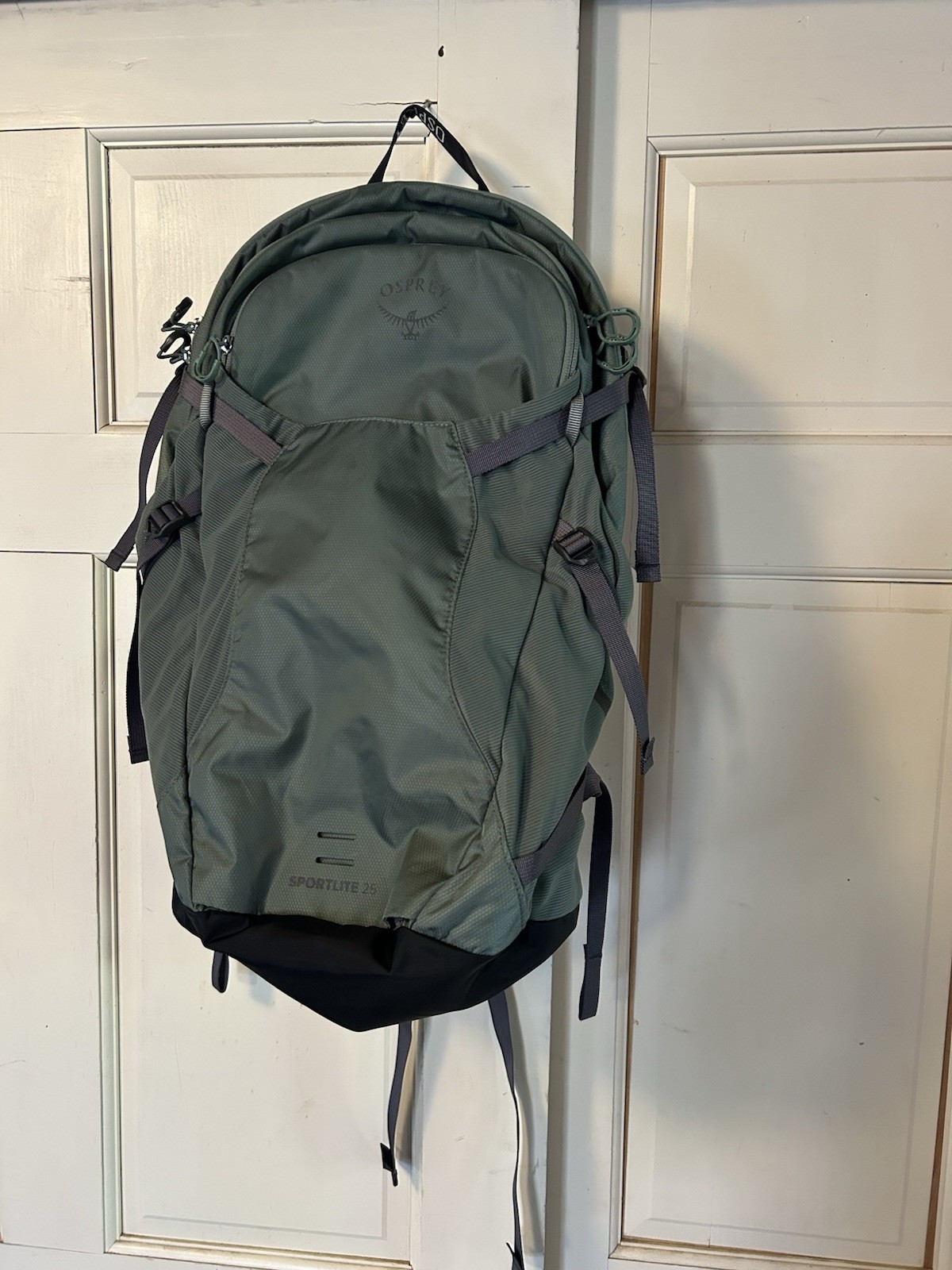 Osprey Sportlite 25L Lightweight Hiking Backpack for Men and Women, Pine Leaf