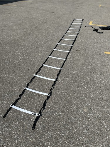 Sklz Chrome Workout Ladder For Training 