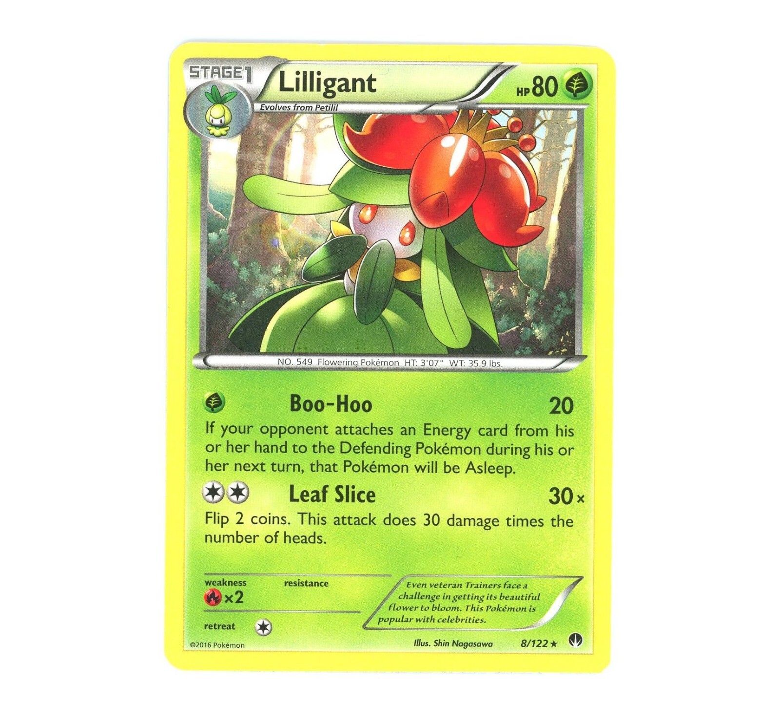 Lilligant 8/122 Breakpoint Rare Pokemon Card