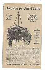 1915 Rockford IL UY5m Postal Card, Advertising, Great Northern Seed, Potato Seed