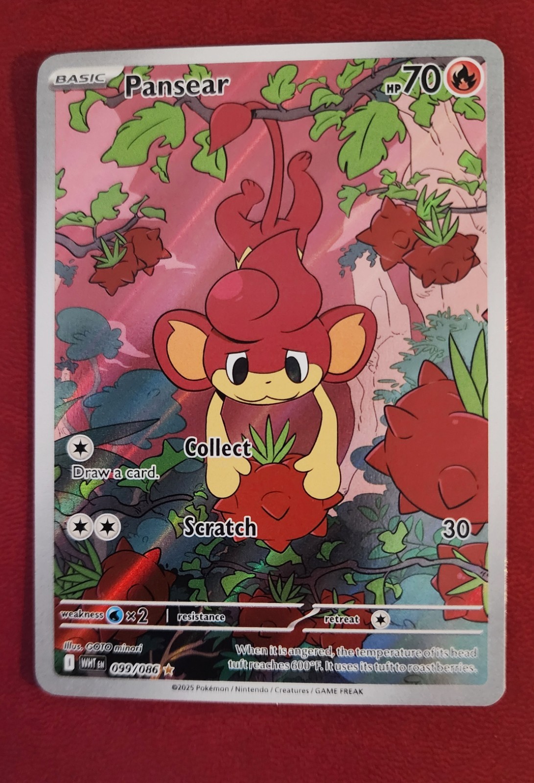 Pansear 099/086 Sv: White Flare Holo Pokmon Card FRESH NM amazing art