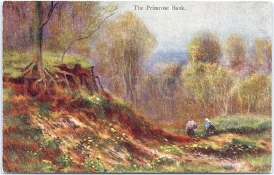 Vintage Postkarte Wald Primel Bank Natur Frühling Landschaft England Künstlerisch