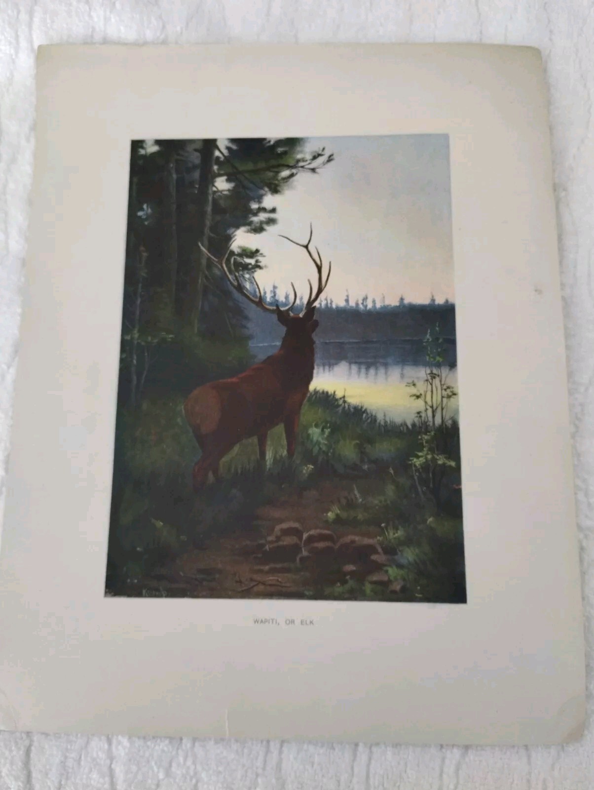 Picture 4 of 24