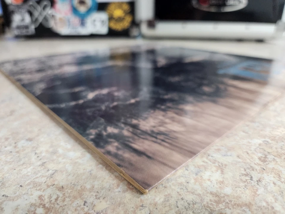 R.E.M. Murmur Vinyl LP Record I.R.S. Records 1983 - Image 4 of 4