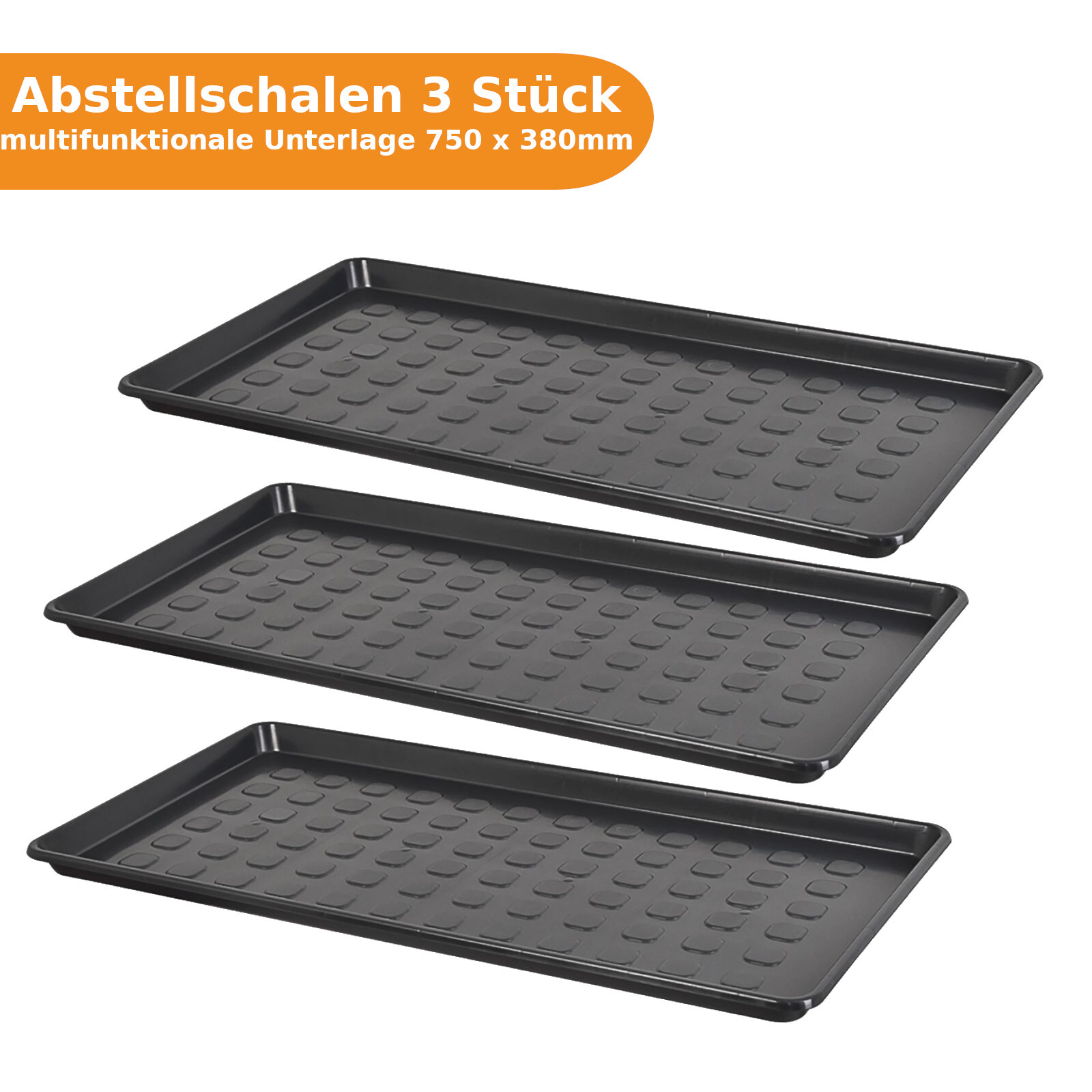 Bild 2 von 2