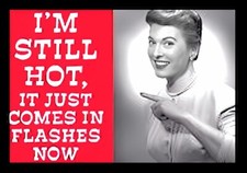 I'm Still HOT It Just Comes In Flashes Now...Dang Menopause. Boo Fridge MAGNET