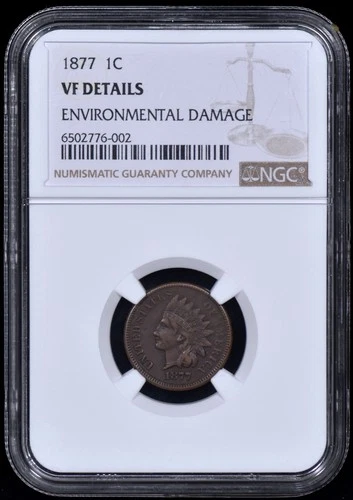 1877 Indian Head 1c Penny NGC VF Details
