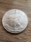 2006 American Silver Eagle Fine Silver Dollar Coin-Uncirculated Ungraded