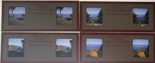Lots Of 4 Kodachrome Stereo Transparencies From Skyline Drive VA Vintage
