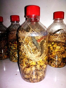 Herbal Hair Oil Mix X2 Amazing Blend Of Indian Herbs For Long