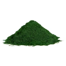 NY Herb Shop Chlorella Powder | Bulk Wholesale Superfood Supplement