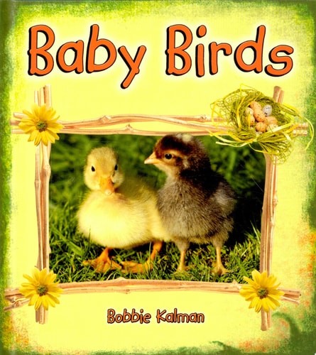 Baby Birds (It's Fun to Learn About Baby Animals) by Kalman, Bobbie, Acceptable