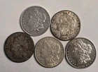 5 Morgan Silver Dollars - 5 Coin Lot - SKU62