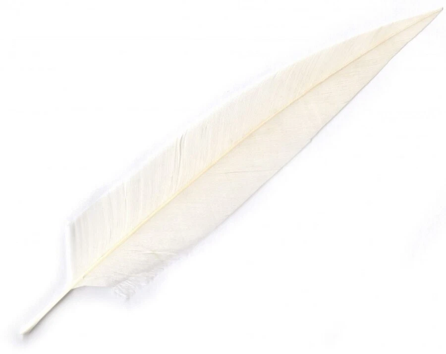 PENNA BIANCA PER CAPPELLO MILITARE ALPINO