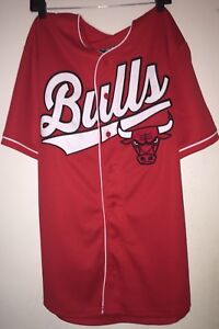 66 bulls jersey