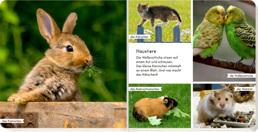 Thumbnail - Meine Liebsten Tiere