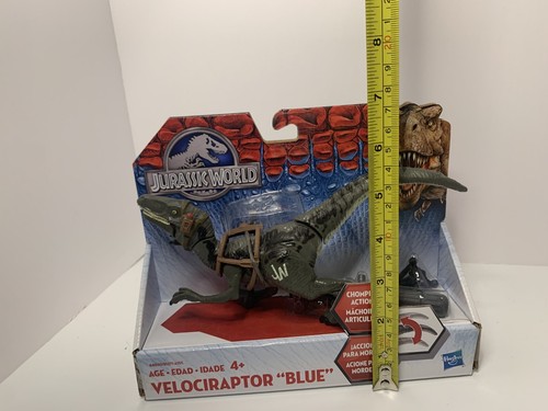 Jurassic World Velociraptor Blue Dinosaur Action Figure 2015 Hasbro NEW - Picture 5 of 5