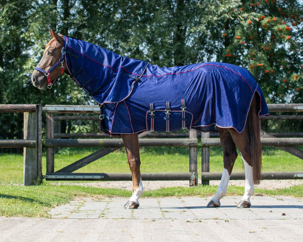 Fly rugs 2024 for horses