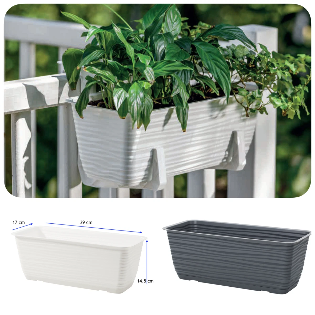 Fluggesellschaften Frustrierend Portal blumenkasten action Kalkstein