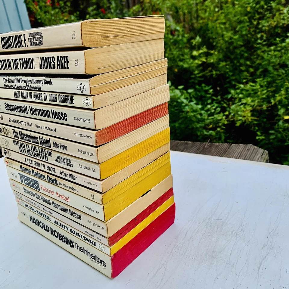 15 Vintage Paperback Books Bantam Books White Spines Black Type Modern Fiction Foto 4 de 4