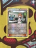 Pokemon Brigette 134/162 - XY Breakthrough - Reverse Holo GLC - Excellent