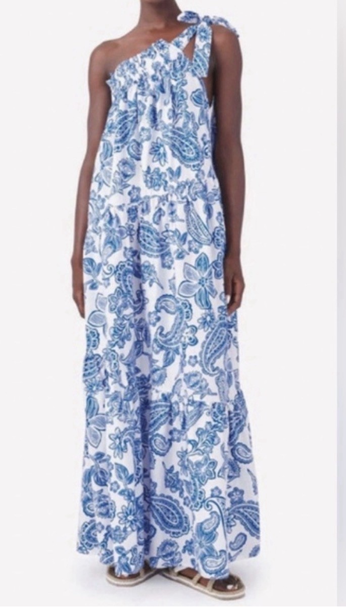 Xirena Blue and White Paisley One-Shoulder Maisie Cotton Santorini Maxi Dress XS