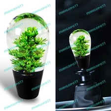 Green Unique 100mm Real Flowers Gear Stick Shift Knob Lever Shifter W 3 Adapter Green Unique 100mm Real Flowers Gear Stick Shift Knob Lever Shifter W 3 Adapter