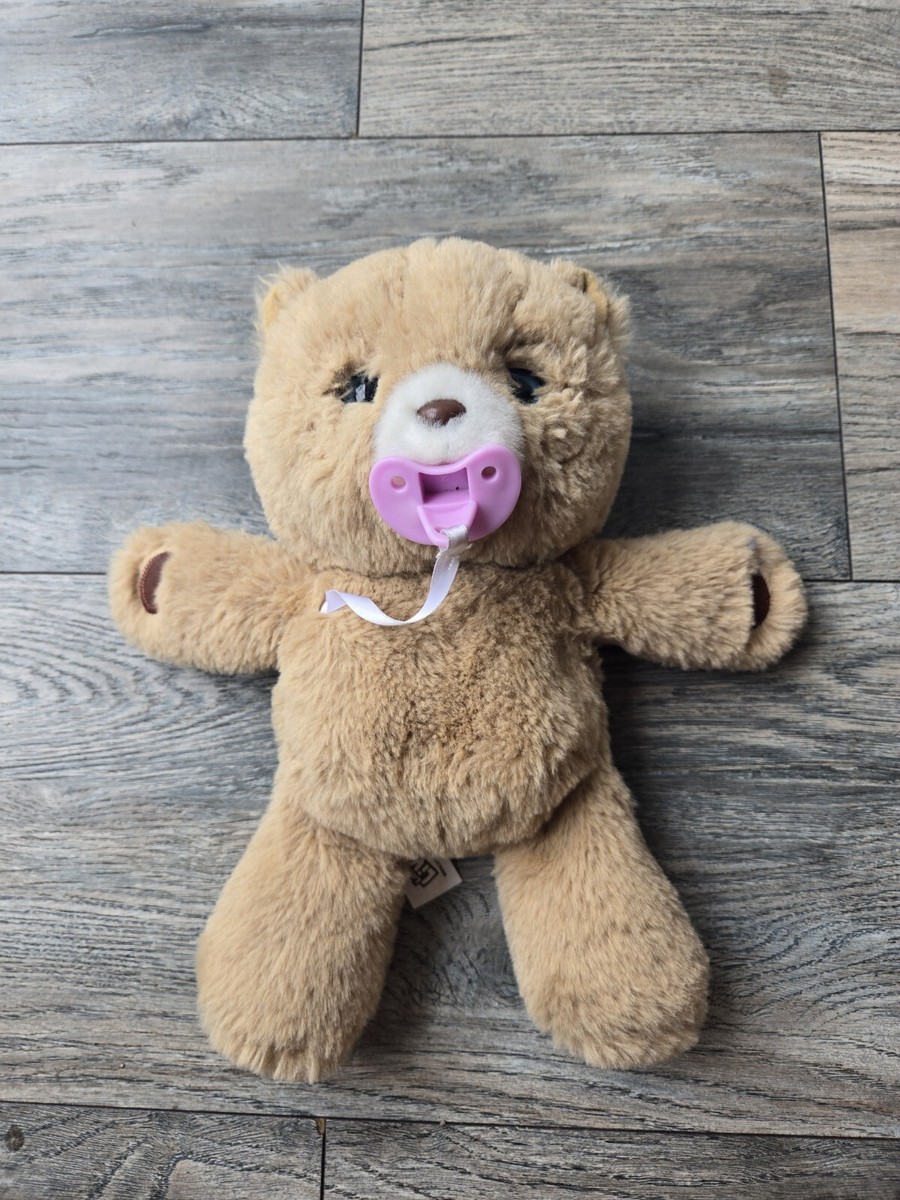 Little Live Pets Cozy Dozy Cubbles The Bear Sounds and Reactions Eyes Open  Snore