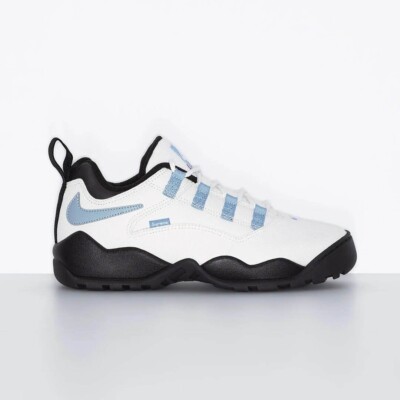 Supreme × Nike SB Darwin Low 