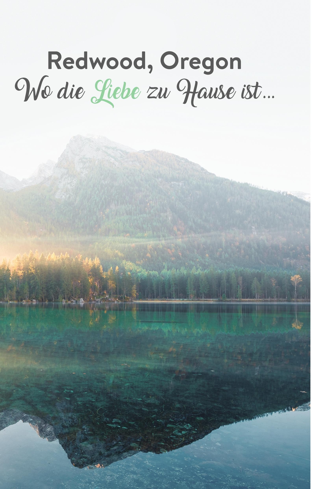 Thumbnail - Kelly Moran | Redwood Dreams - Es Beginnt Mit Einem Knistern |