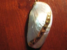 Stunning Real Shell Pendant (NO Chain) Decorated With Gold 