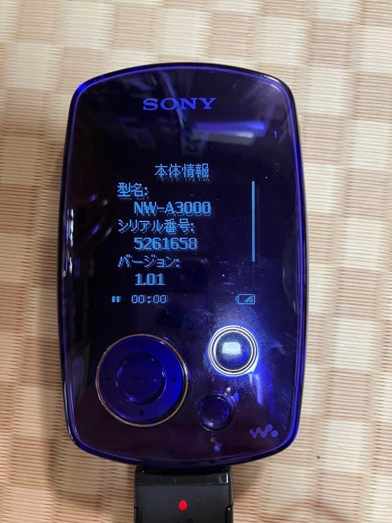 Sony Walkman NW-A3000 20GB Digital Media Player MP3 Purple