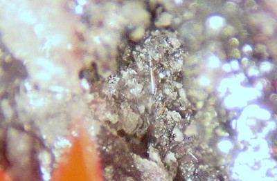 PYROSTILPNITE - Dimorph of Pyrargyrite - Morey Mine, Nye County, NEVADA