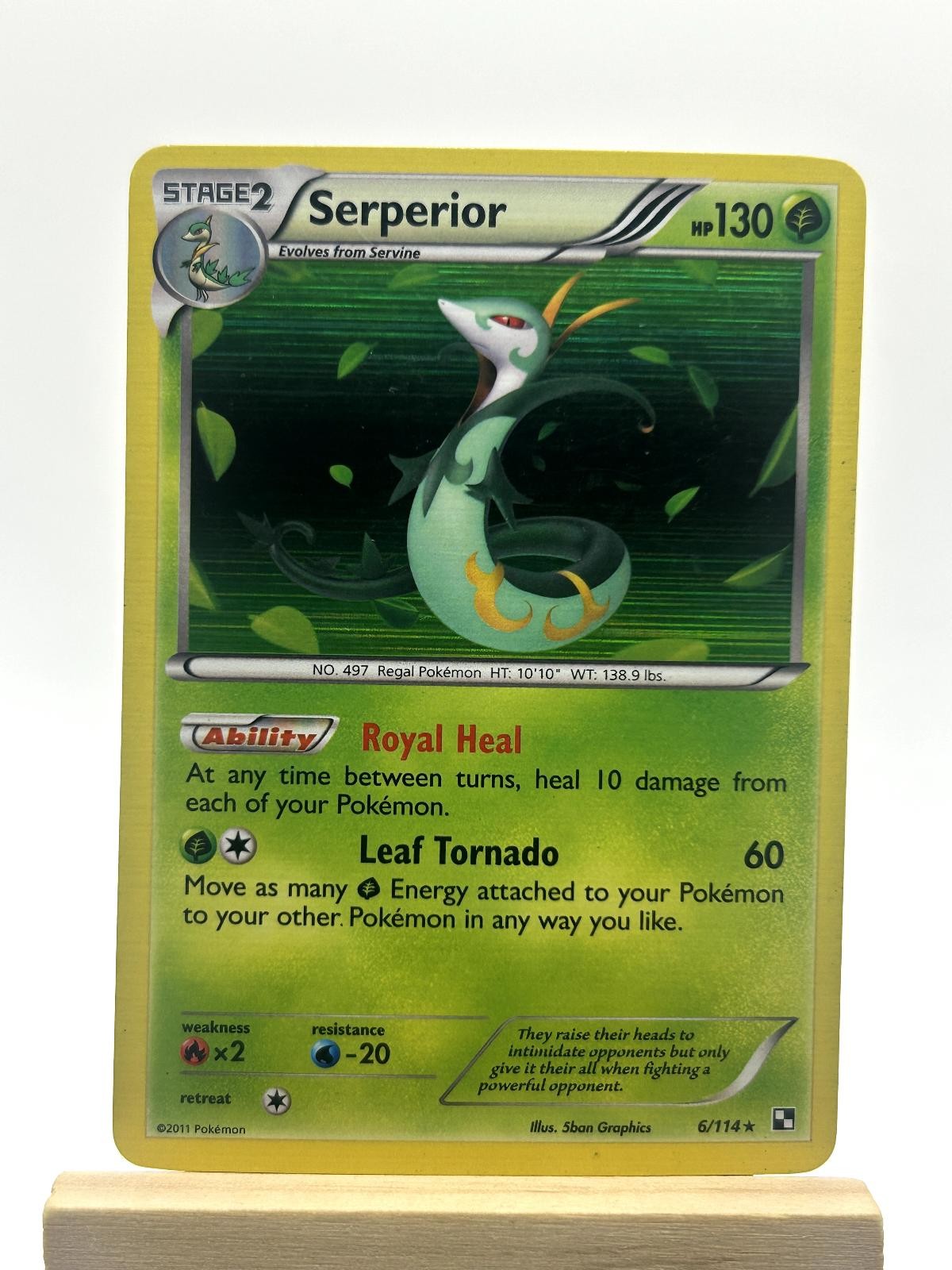 Serperior 6/114 Holo Rare Black & White Pokemon Holo Lightly Played