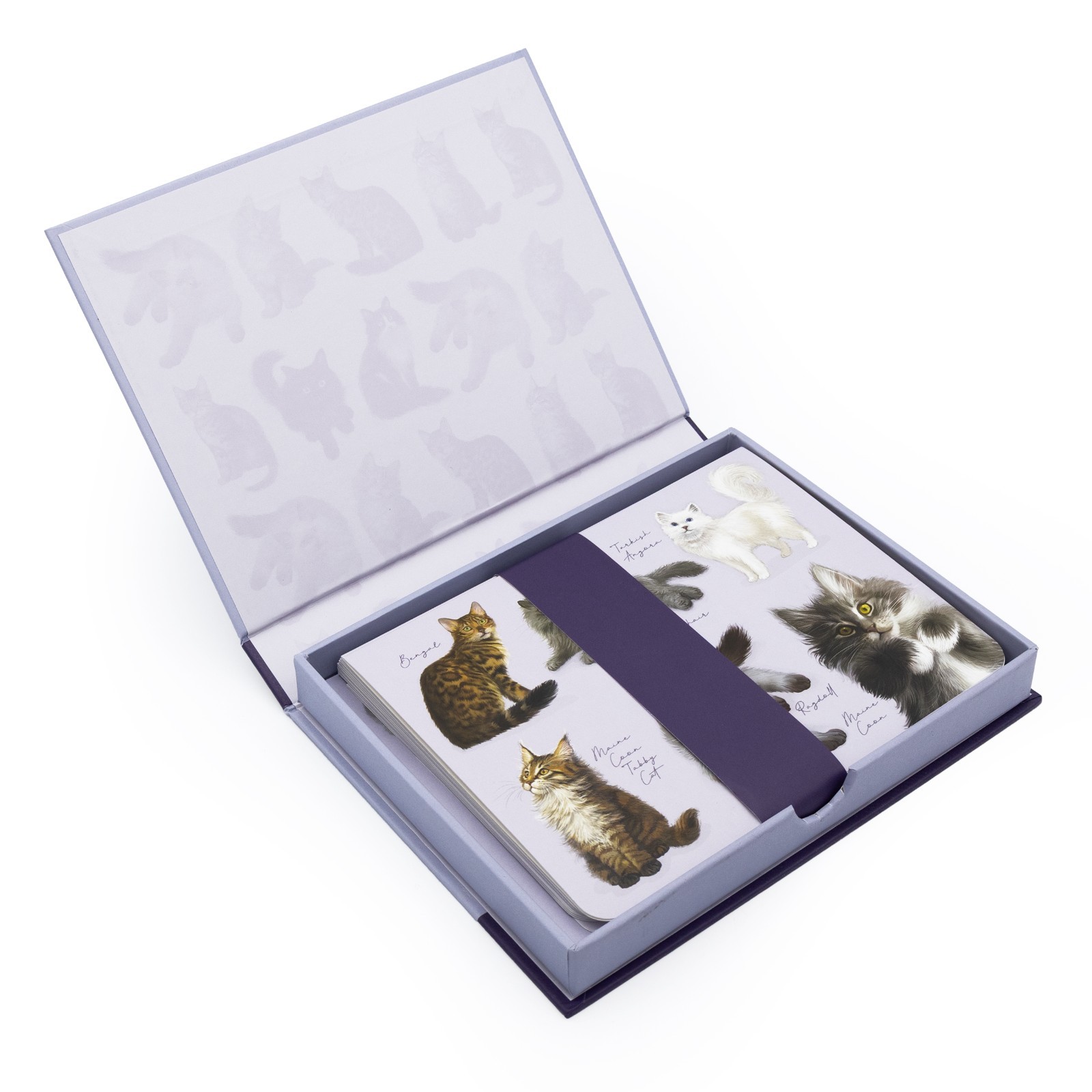 Cat Notecards & Envelopes Set Patricia MacCarthy Boxed Cards Stationery Gift