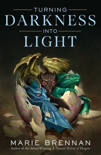 Turning Darkness Into Light by Marie Brennan: Used