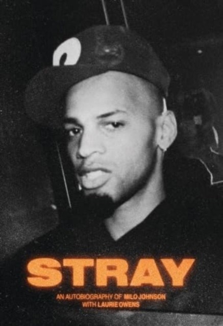 Stray by Laurie Owens (Hardback Book)