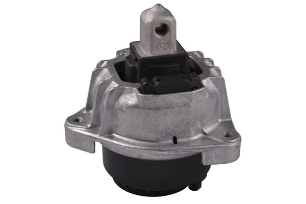 Tedgum Motorlager TED11858 FüR BMW 6Er F12 F13 F06 5Er F10 Turismo F07 Touring-image