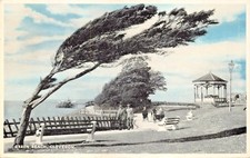 Clevedon Somerset England~Grüne Strand-Postk...